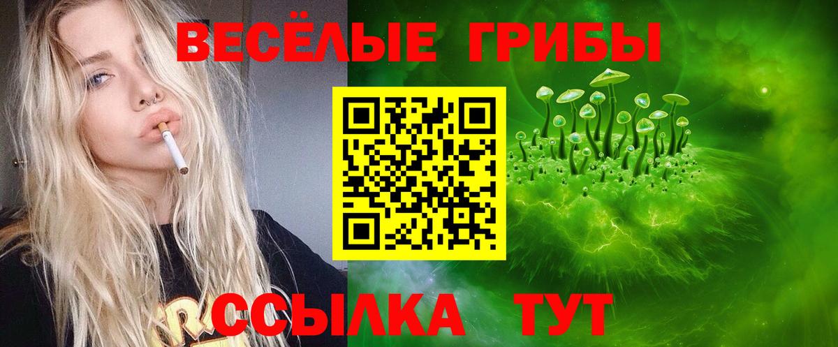 Псилоцибиновые грибы MAGIC MUSHROOMS  Галлюциногенные грибы Psilocybe  Вход с VPN  Мурино 