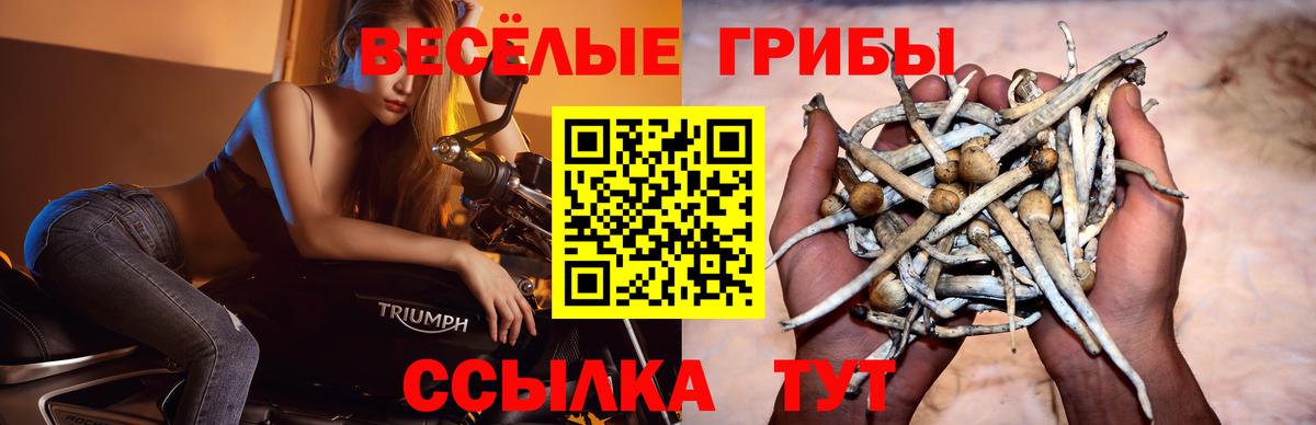 Псилоцибиновые грибы ЛСД Мурино